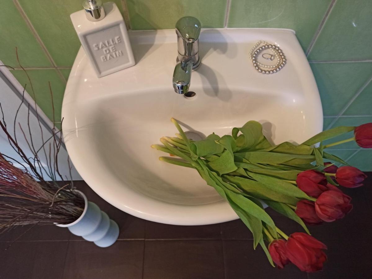Apartmany Ziakova - Ubytovani Nove Hrady 111 Dış mekan fotoğraf