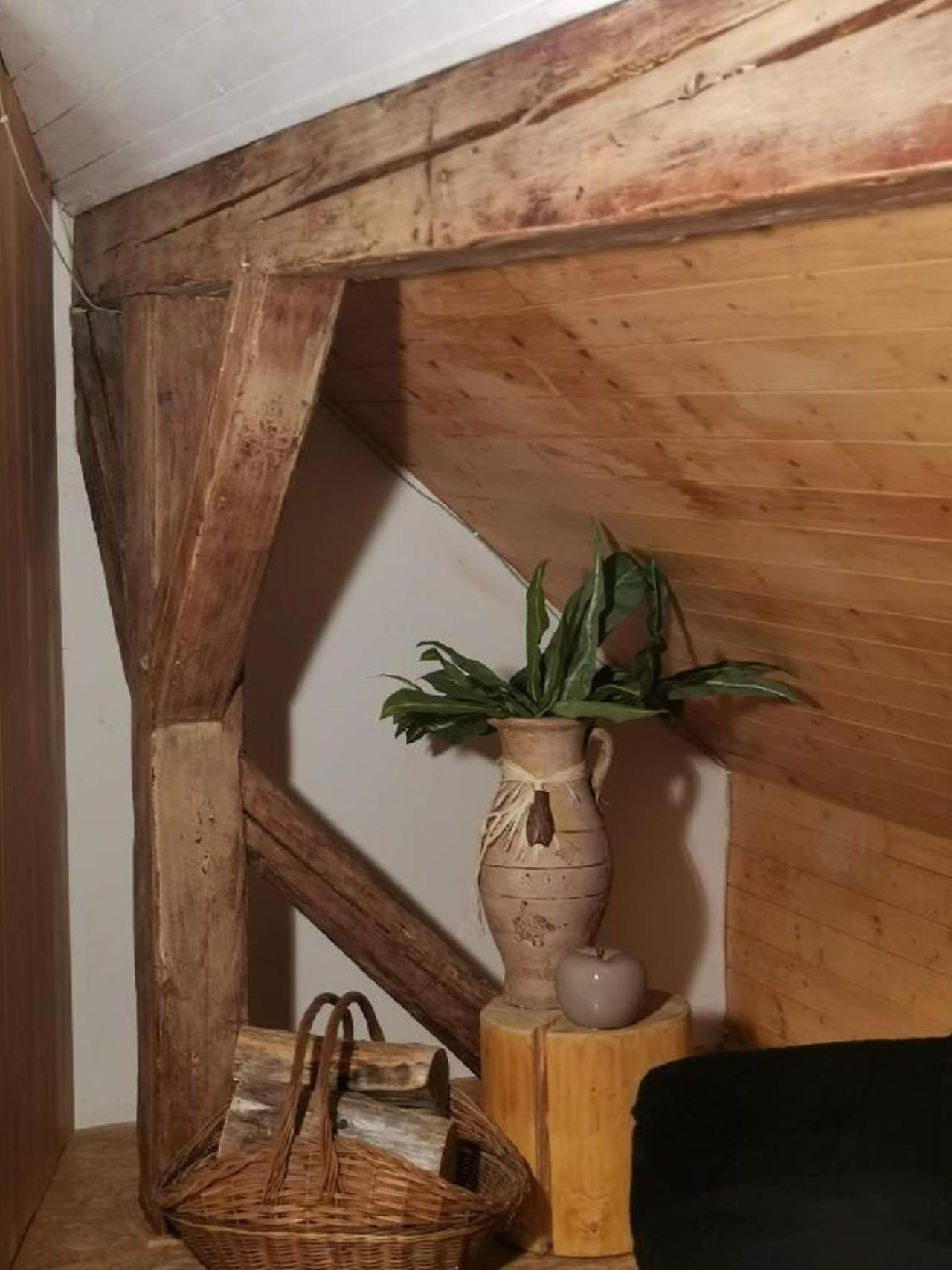 Apartmany Ziakova - Ubytovani Nove Hrady 111 Dış mekan fotoğraf